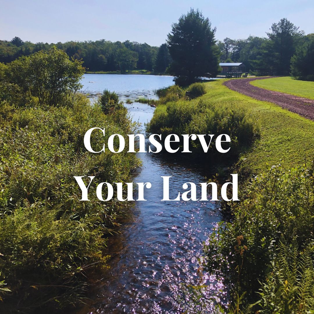 conserve your land