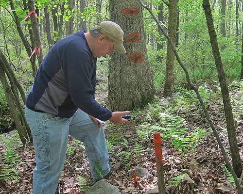 monitoring - North Branch Land Trust (NBLT)