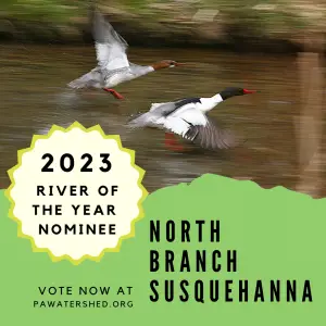 Vote North Branch of the Susquehanna River of the Year
