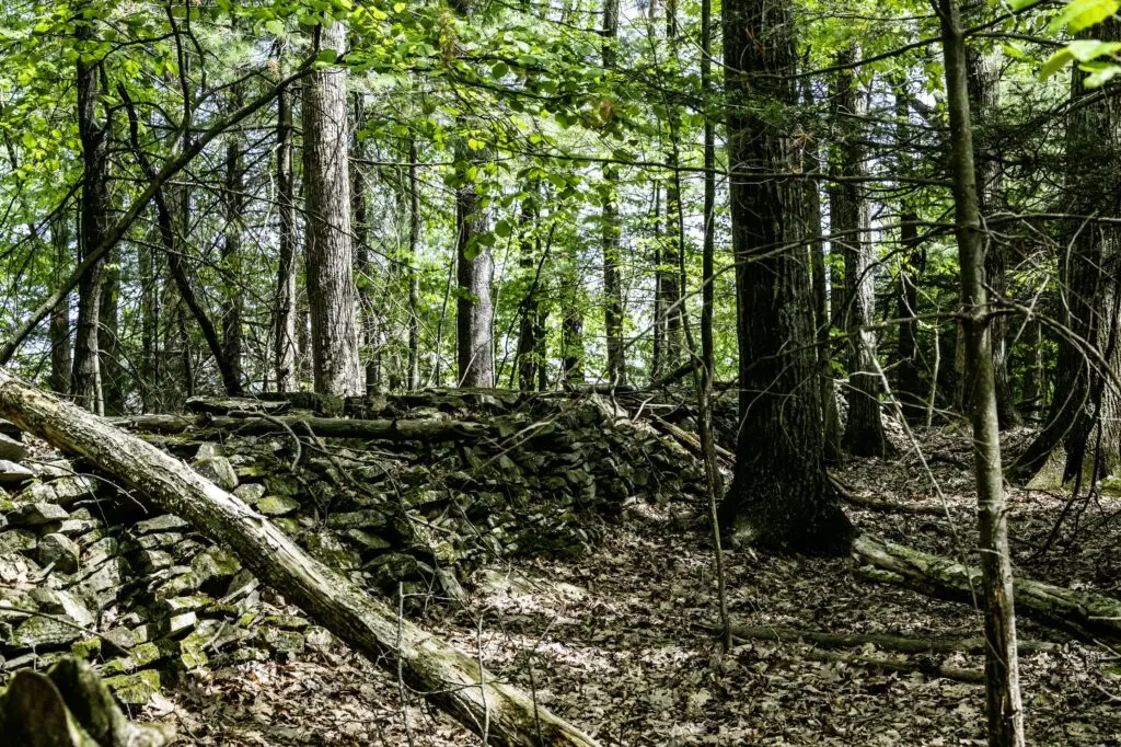 _DEV8839 copy-min - North Branch Land Trust (NBLT)