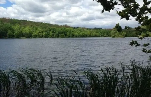 DCNR Grant Awarded To Acquire Hanover Reservoir Tract