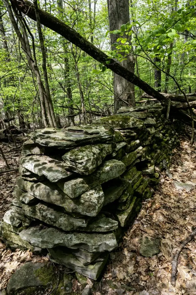 M0D_0848 copy-min - North Branch Land Trust (NBLT)