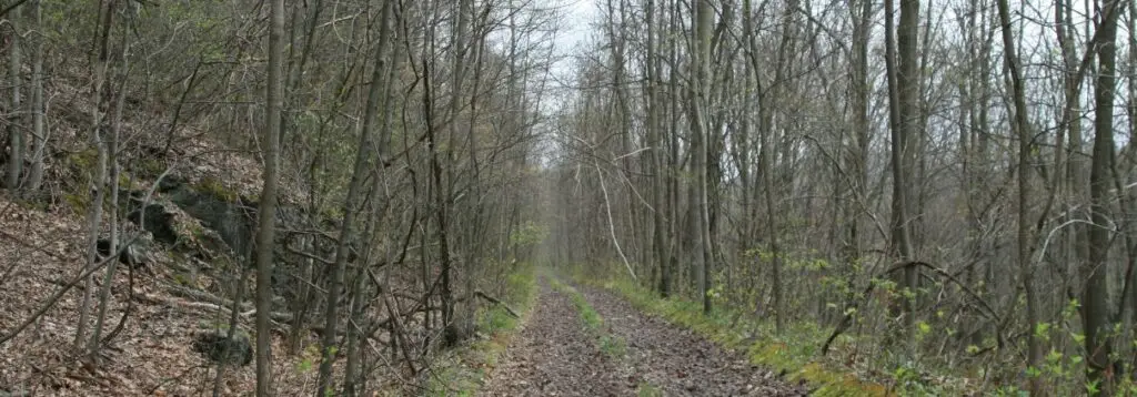 D&L Trail Contract Awarded for Phase I
