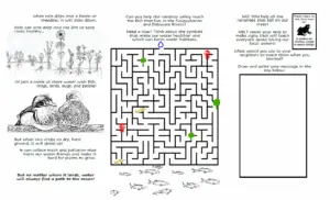 “If I were a raindrop” Activity sheet