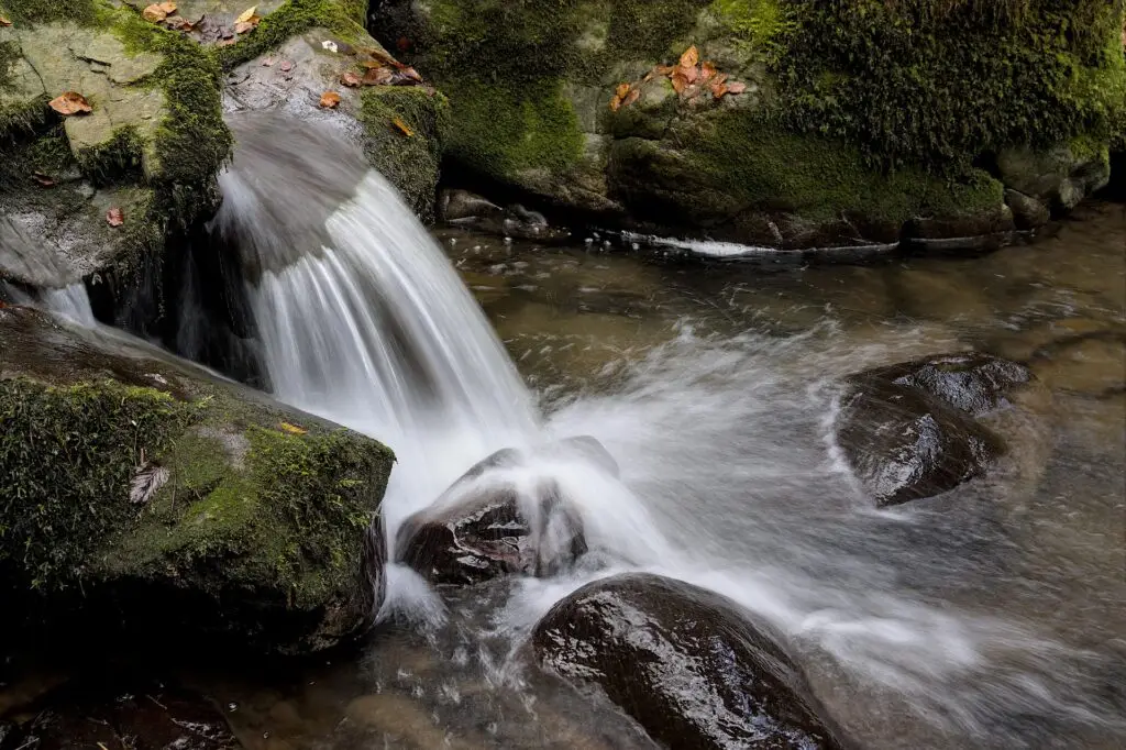 NBLT Receives Grant to Protect Nescopeck Creek Headwaters