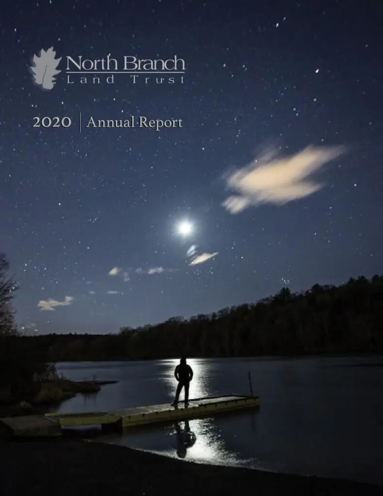 2020 Annual Report