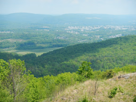 Hilly, forested landscape with a valley and distant town under a blue sky, viewed from a hillside in the foreground.